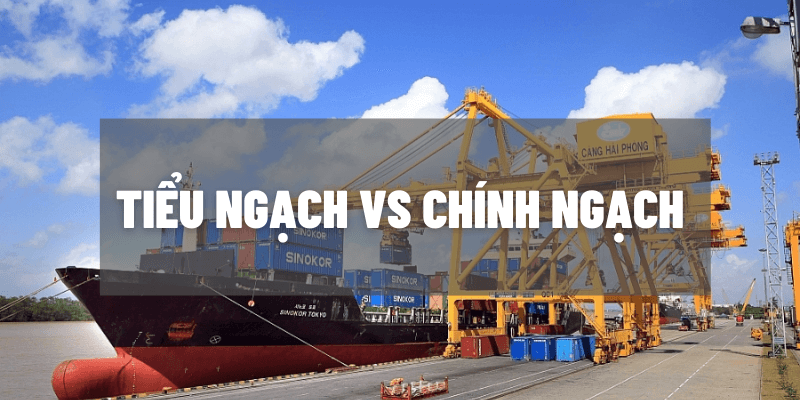So Sánh Chính Ngạch Và Tiểu Ngạch: Lựa Chọn Tối Ưu Cho Mô Hình Kinh Doanh Của Bạn?