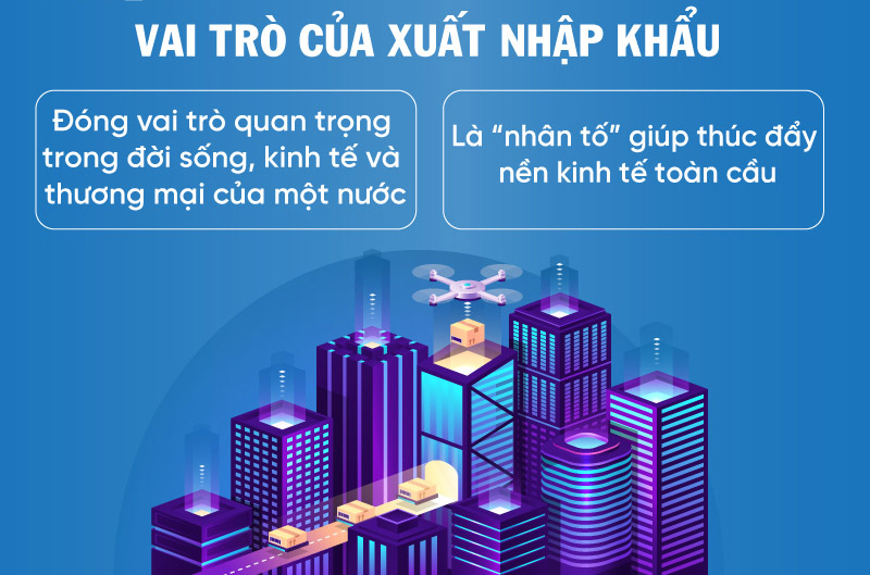 Vai trò của hoạt động nhập khẩu